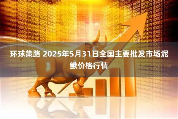 环球策路 2025年5月31日全国主要批发市场泥鳅价格行情