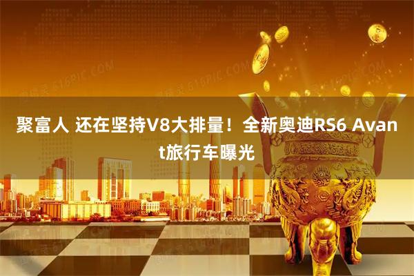 聚富人 还在坚持V8大排量！全新奥迪RS6 Avant旅行车曝光