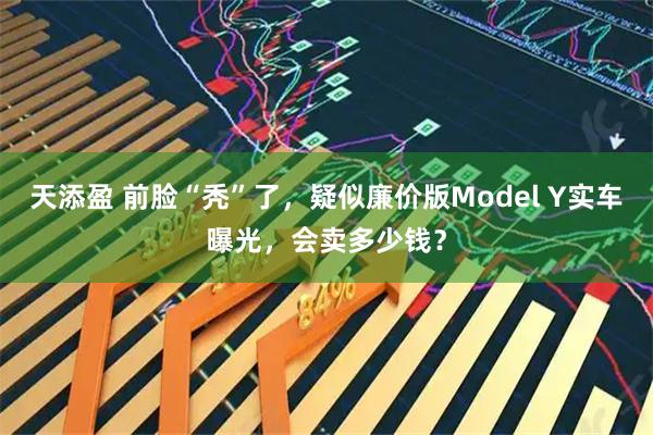 天添盈 前脸“秃”了，疑似廉价版Model Y实车曝光，会卖多少钱？